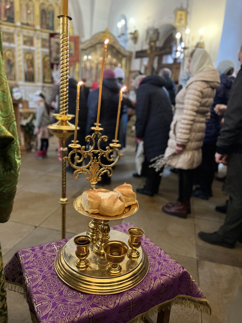 С Праздником! С Вербным Воскресеньем, дорогие братья и сестры, дорогие  друзья! ВХОД ГОСПОДЕНЬ В ИЕРУСАЛИМ - Храм великомученика Димитрия  СолунскогоХрам великомученика Димитрия Солунского