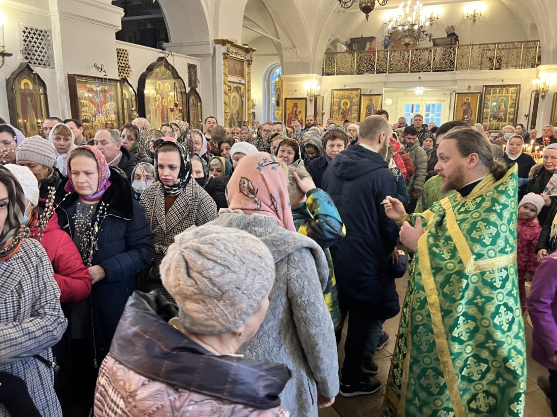 С Праздником! С Вербным Воскресеньем, дорогие братья и сестры, дорогие  друзья! ВХОД ГОСПОДЕНЬ В ИЕРУСАЛИМ - Храм великомученика Димитрия  СолунскогоХрам великомученика Димитрия Солунского